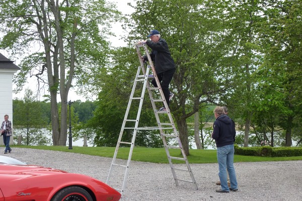 Med en rejäl stege blir det bättre bilder tycker Bernt.
