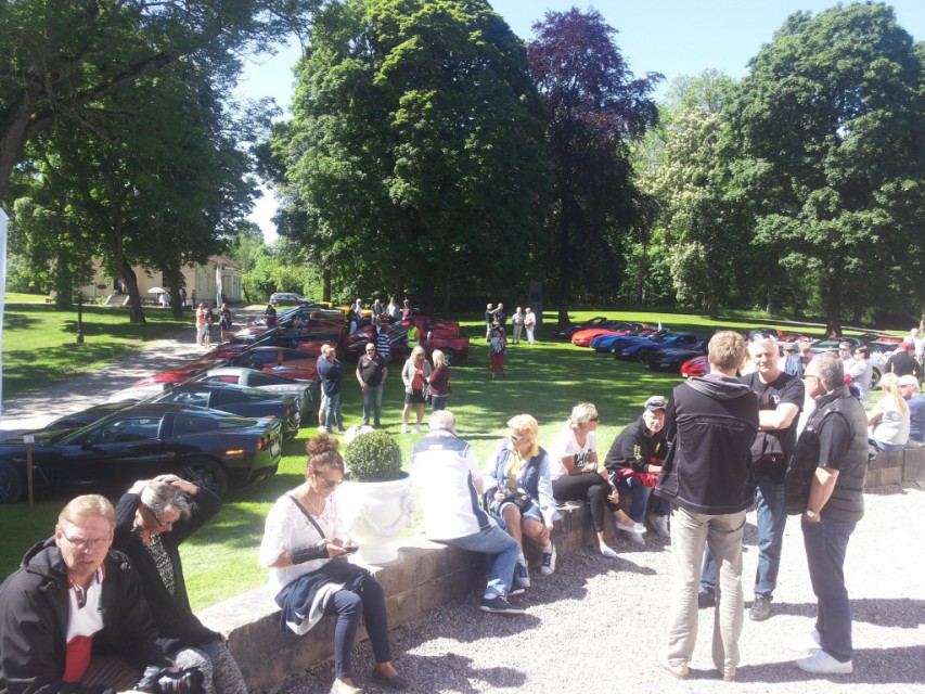 Mingel i parken innan Nationaldagslunch