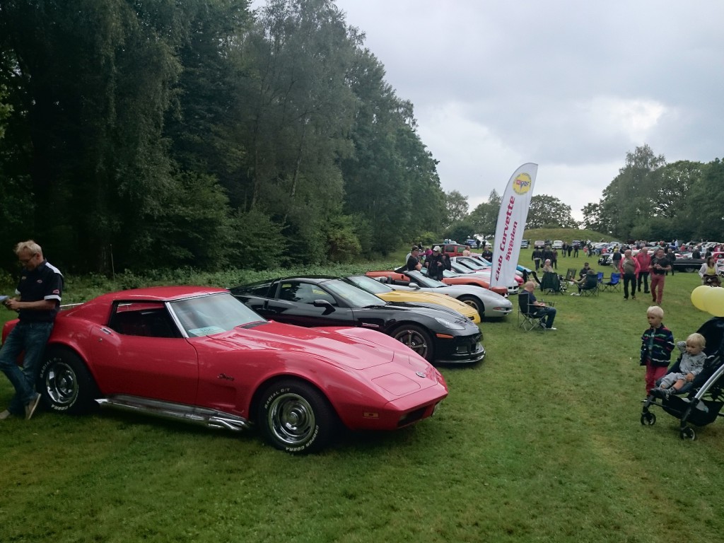 CCS Syd LERGÖKARALLY 2014