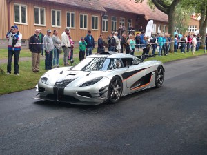 Lergökarally 2014