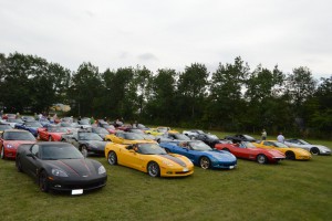 Danmarks Utflykt Viking Run, 41 corvetter anmält