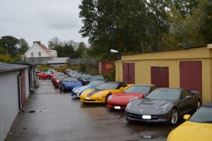 dsc_0090-large